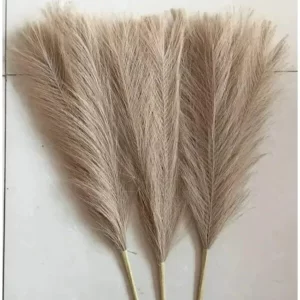 Brown artificial pampas grass stems for minimalist vase