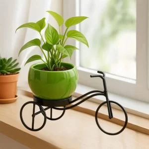 Vintage cycle-shaped metal plant stand and iron planter holder