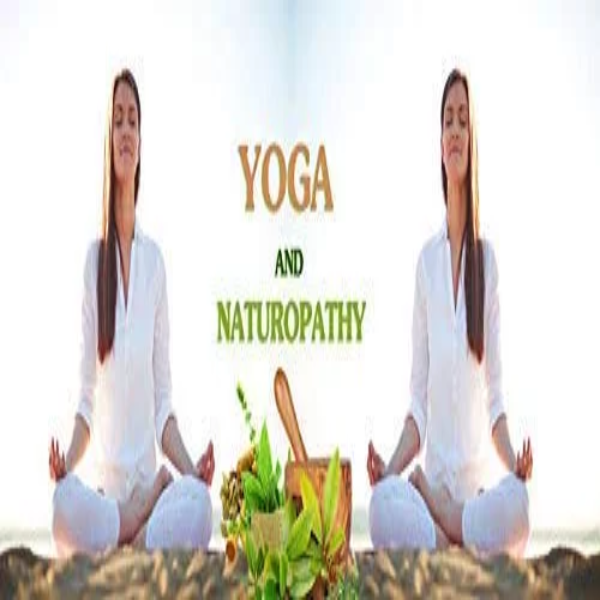 100% NATURAL&PURE PRODUCTS % Organic Triphala 1:2:3 Churna, The Best Effective Ratio 100 gm - Image 3