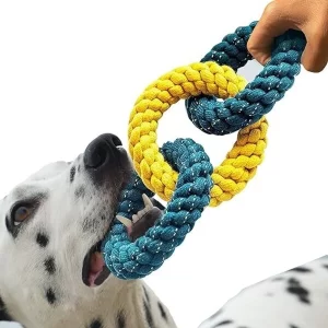 A happy Labrador vigorously pulling the Dog Chew Rope Rings during tug-of-war.
