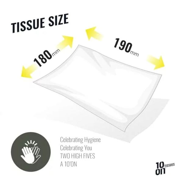 10on Lite 2 Ply Facial Tissues | Soft & Highly Absorbent Paper Napkins | 80 Pulls per Box | 18 x 19 cm | Gentle Face Tissue Box for Home, Office & Travel (Box Color May Vary) - Image 3