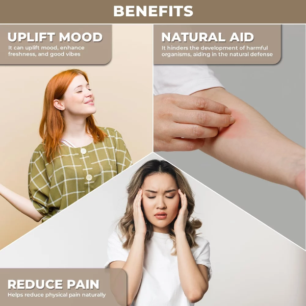 100% Plant Based Bergamot Oil for Diffuser, Skin & Hair | Premium Grade Bergamot Essential Oils for Hair Care, Home Diffusers, Aromatherapy, Massage and Humidifiers - Image 3