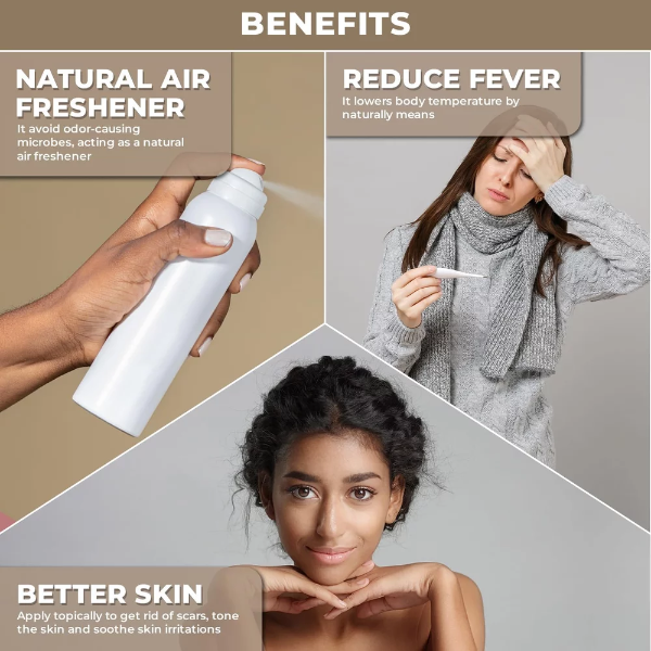 100% Plant Based Bergamot Oil for Diffuser, Skin & Hair | Premium Grade Bergamot Essential Oils for Hair Care, Home Diffusers, Aromatherapy, Massage and Humidifiers - Image 4