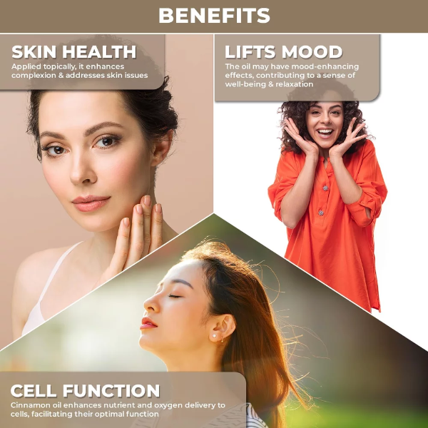 100% Plant Based Cinnamon Oil for Aromatherapy & Diffusers | Dalchini Air Freshener Oil | Pure Cinnamon Essential Oil for Home Fragrance Diffuser - Image 3