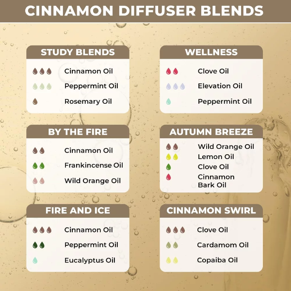 100% Plant Based Cinnamon Oil for Aromatherapy & Diffusers | Dalchini Air Freshener Oil | Pure Cinnamon Essential Oil for Home Fragrance Diffuser - Image 4