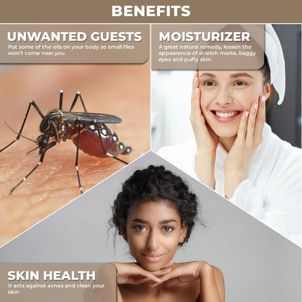 100% Plant Based Clove Oil for Massage, Diffuser & Aromatherapy - Laung Ka Tel - Pure and Organic Clove Essential Oil for Skin Care, Hair Care, Sore Muscles & DIY Soap Making - Image 4