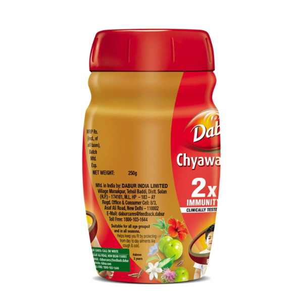 Dabur Chyawanprash: 2X Immunity, helps Build Strength and Stamina-250g - Image 2