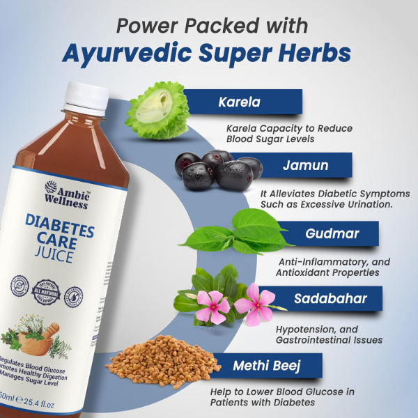 Diabetes Care Juice 750 ML, Ayurvedic Juice with Neem, Karela, Jamun Helps Maintain Healthy Sugar Levels, Lowers Bad Cholestrol, Diabetic Care Juice, No Added Sugar - Image 3