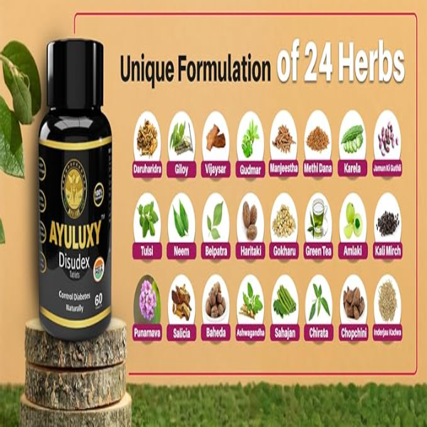 Disudex Tablets | Lab Certified | 24 Herbs | Control Blood Sugar & Dia-betes Ayurvedic Medicine | Herbal Support for Healthy Glucose & HbA1c Level | (120 Tablets Pack of 2) - Image 2