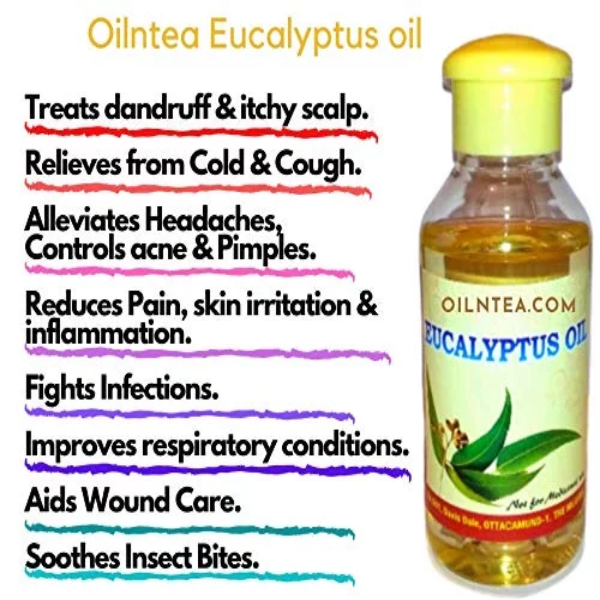 100% Pure Nilgiri (Ooty) Eucalyptus Oil, Natural & Farm Fresh Nilgiri tel For Cough & Cold, Headache, Body & Muscle & Joint Pain, Aromatherapy, Mehandi and Diffuser (200ml) - Image 2