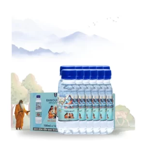 The 12-pack of Ramoudhya Pure Gangajal For Pooja.