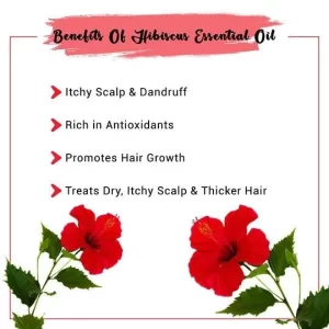 100% Pure Essential Oil Therapeutic Grade Natural [15ML] (Hibiscus)