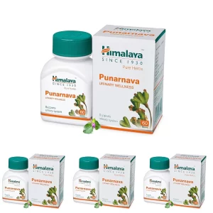 Himalaya Punarnava Tablets - 60 Count (Pack of 4)