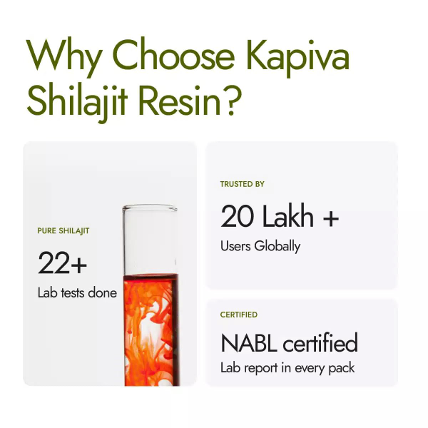 Kapiva Original Himalayan Shilajit/Shilajeet Resin 20g | 250mg/Serving | For Energy, Endurance & Vitality | 80 Servings | 100% Ayurvedic - Image 3