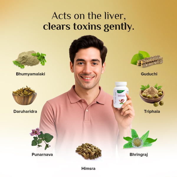 L’Amar Hepalina Ayurvedic Liver Care Capsules- 60 Capsules (Pack of 2)| For support in Liver Detox, Fatty Liver Management, Jaundice Relief & Digestive Wellness - Image 2