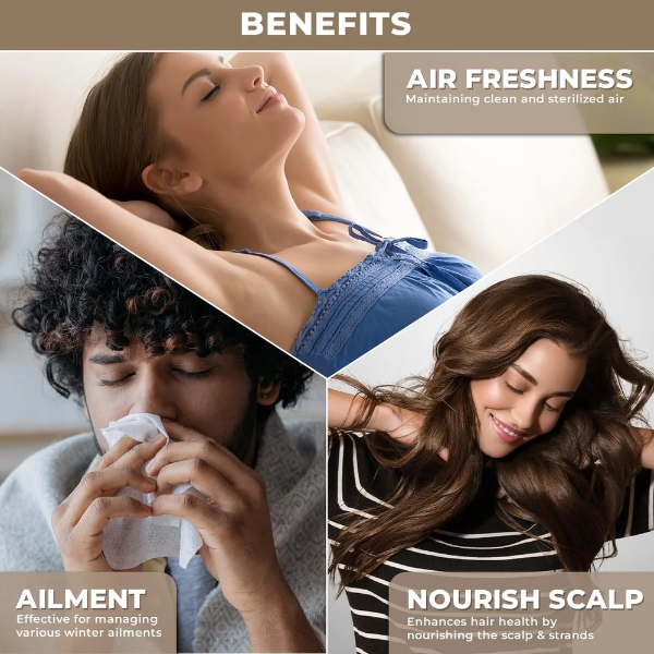 100% Plant Based Nilgiri Eucalyptus Oil for Humidifier, Diffuser & Massage - Pure, Organic Therapeutic Grade Essential Oil for Steam Inhalation, Aromatherapy and Hair Care - Image 4