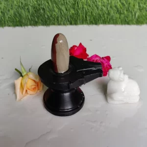 1.5Inch Original & Natural Narmadeshwar Narmada Stone Shiva Lingam with 3Inch Jaladhari Nandhi, for Tempal Puja
