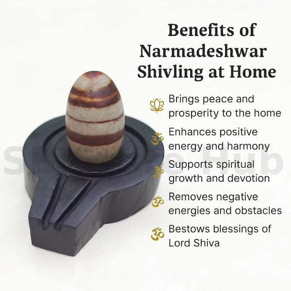 Original Narmadeshwar Shivling placed respectfully in a USA home mandir.