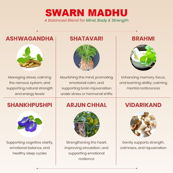 Dhanwantri Pharmaceuticals Swarn Madhu Ayurvedic Brain Tonic for Memory & Focus | Herbal Syrup for Mental Clarity, Calmness & Daily Wellness (Sugar Free) (180 ML (Pack of 1)) - Image 3