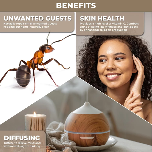 100% Plant Based Sweet Orange Essential Oil for Face, Skin & Body | Provides Natural Cleaning Solutions & Aromatherapy Benefits| Therapeutic Grade Sweet Orange Oil for Diffusers & Relaxation - Image 4