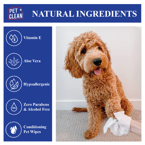 Pet Clean Anti-Bacterial Pet Wipes for Dogs & Cats – 100 Grooming Wet Wipes with Aloe Vera & Cherry Blossom Fragrance | Cleansing, Deodorizing & Gentle Care | 6” x 8” - Image 2