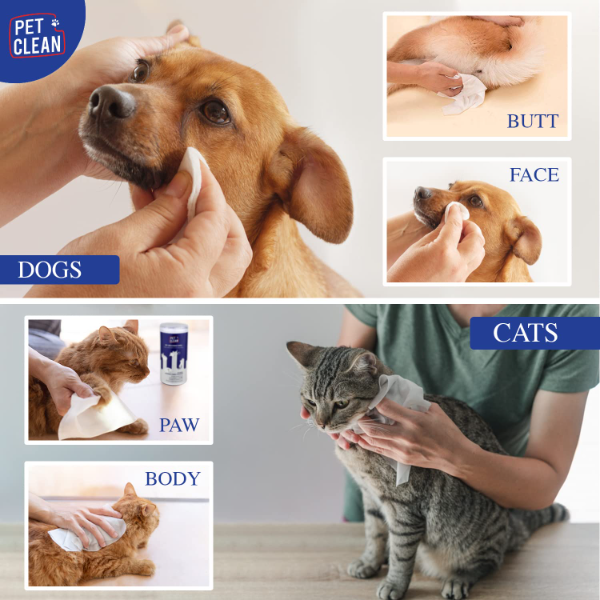 Pet Clean Anti-Bacterial Pet Wipes for Dogs & Cats – 100 Grooming Wet Wipes with Aloe Vera & Cherry Blossom Fragrance | Cleansing, Deodorizing & Gentle Care | 6” x 8” - Image 4