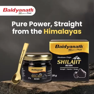 Baidyanath Himalayan Shilajit Resin 20g – Ayurvedic Natural Supplement Rich in Fulvic Acid for Strength, Power & Stamina