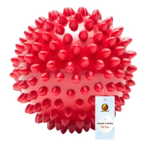 Foodie Puppies Rubber Spike Ball for Dogs – 2.8 Inch (7cm) Chew & Teething Toy for Puppies and Small to Medium Dogs, Bouncy Training Ball