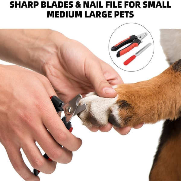 Professional Stainless Steel Nail Clippers for Dogs, Cats & Rabbits – Small Grooming Trimmer with Safety Guard, Nail File & Grinder to Prevent Overcutting - Image 3