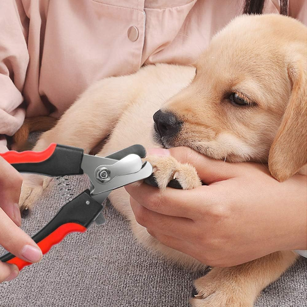 Professional Stainless Steel Nail Clippers for Dogs, Cats & Rabbits – Small Grooming Trimmer with Safety Guard, Nail File & Grinder to Prevent Overcutting - Image 4