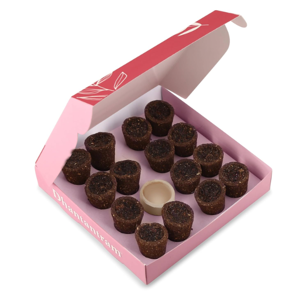 Eco-friendly natural cow dung havan cups in the USA