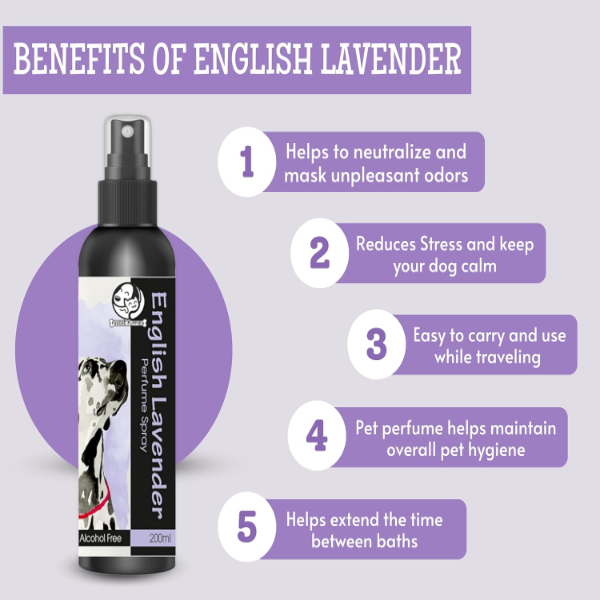 Foodie Puppies Lavender Dog Perfume Spray 200ml – Natural Pet Deodorizer with Aloe Vera for Safe Daily Coat Freshening & Odor Control - Image 2