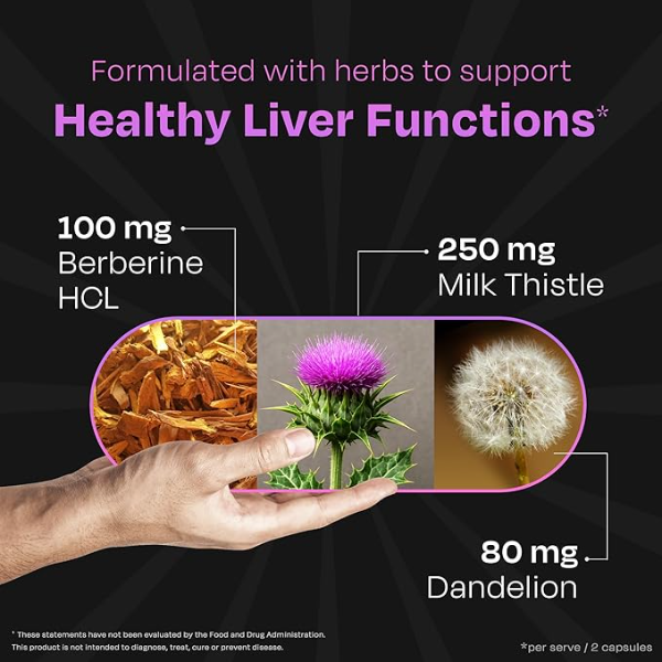 Milk Thistle ++ (120 Count) - 500mg Liver Detox Capsules | Elite Daily Wellness Support | All-Natural & Gluten-Free Liver Repair | Pure Herbal Formulation | 60-Day Supply - Image 3