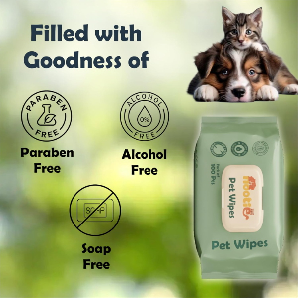Nootie Anti-Bacterial Pet Wipes for Dogs & Cats – Vet Recommended Extra Large Grooming Wipes with Natural Extracts | Flea & Tick Protection | Alcohol-Free Paw, Body & Coat Cleaning | 100 Wipes - Image 2