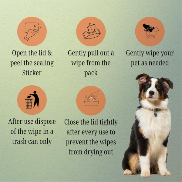 Nootie Anti-Bacterial Pet Wipes for Dogs & Cats – Vet Recommended Extra Large Grooming Wipes with Natural Extracts | Flea & Tick Protection | Alcohol-Free Paw, Body & Coat Cleaning | 100 Wipes - Image 3