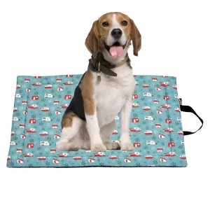 Orthopedic pet crate mat in sea green 30x20 inch size for pets.