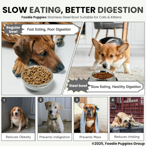 Foodie Puppies Stainless Steel Pet Feeder Bowl 225ml – Non-Slip Rubber Base Food & Water Bowl for Cats, Dogs, Rabbits, Hamsters & Puppies - Image 4