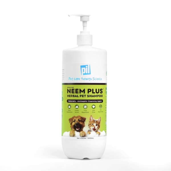 Tick-free dog running outdoors thanks to Herbal Neem Pet Shampoo