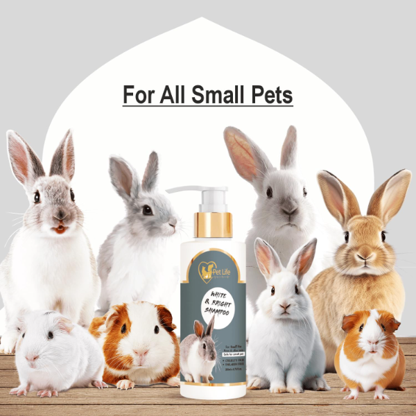 Pet Life Pure Organic White & Bright Pet Shampoo 200ml – Gentle Hair & Body Wash for Rabbits, Kittens & Small Pets for Healthy Shiny Coat - Image 4