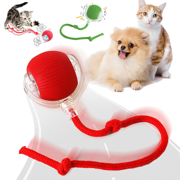 Rechargeable electric pet toy ball with a colorful tail rope rolling in a home.
