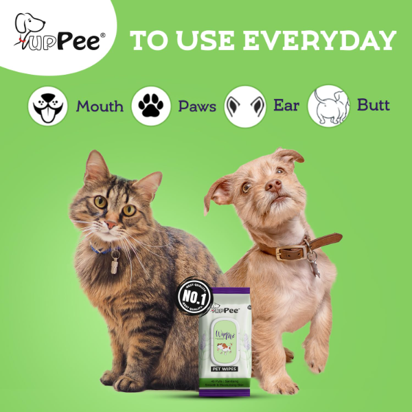 PUPPEE Wipe ME Biodegradable Pet Wipes for Dogs & Cats – Lavender, Vitamin E & Olive Oil, 144 Count (Pack of 3) - Image 2