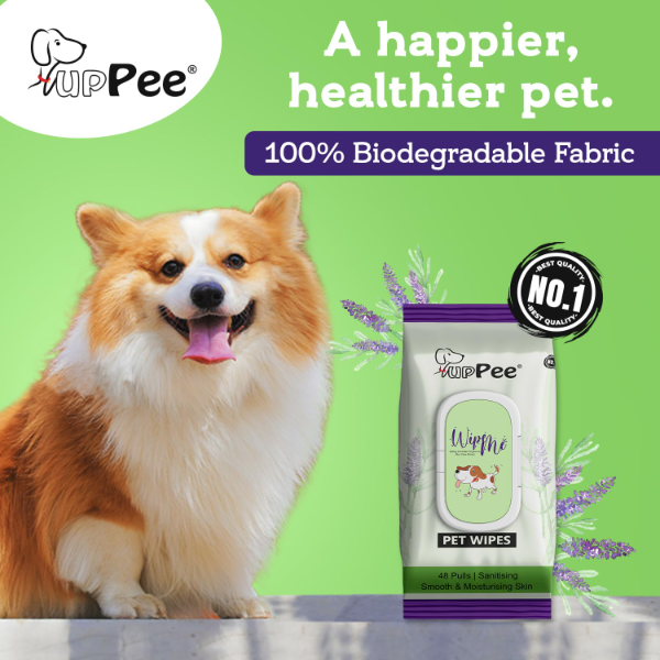 PUPPEE Wipe ME Biodegradable Pet Wipes for Dogs & Cats – Lavender, Vitamin E & Olive Oil, 144 Count (Pack of 3) - Image 3