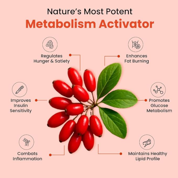 ZEROHARM Holistic Berberine 800mg (98% Pure) | Nano Formulated Supplement for Blood Sugar & Metabolism Support | 60 Tablets - Image 3