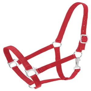 Adjustable Horse Halter in Red – Durable & Comfortable Equine Headcollar for Daily Training and Stable Use