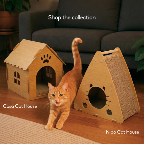 Casa Cat House – DIY Wooden Indoor & Outdoor Pet Shelter with Scratch Pad, Removable Roof for Easy Cleaning, Tool-Free Assembly – Perfect for Cats, Kittens & Small Dogs - Image 4
