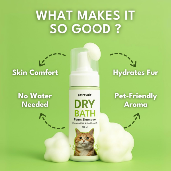 Petroyale Waterless Cat Shampoo Foam – Dry Bath Shampoo for Cats with Tick & Flea Relief, Anti-Itch Formula, Detangling No-Rinse Pet Grooming Foam | 150ml - Image 2