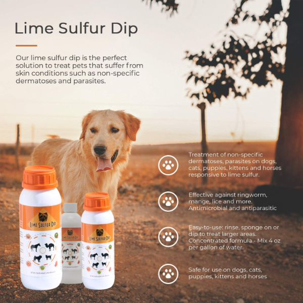 Veterinary Lime Sulfur Dip for Pets & Horses – Fast Relief for Mange, Ringworm, Fleas & Dry Skin – 8oz - Image 3