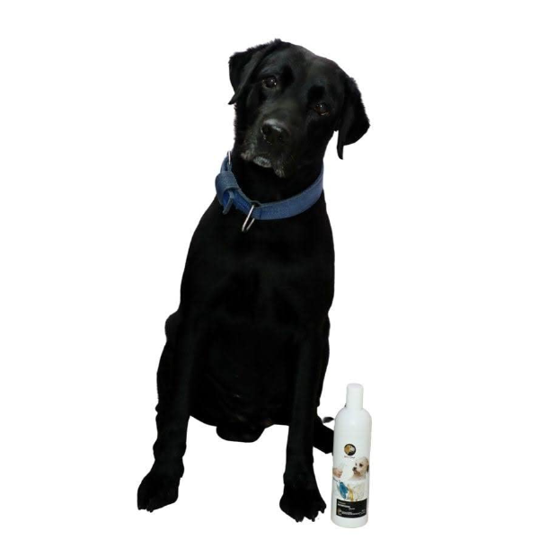 Natural Pet Bath Shampoo – Gentle & Refreshing Cleanser for Dogs, Puppies, Cats, Kittens & Rabbits | Smooth, Shiny, Healthy Coat – 200ml - Image 3