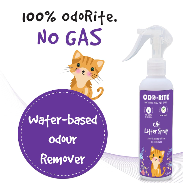 ODO-RITE Cat Litter Spray – Odor Eliminator for Litter Boxes (175 ml) | Removes Bad Smells & Keeps Cat Area Fresh and Clean - Image 2