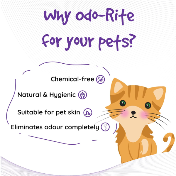 ODO-RITE Cat Litter Spray – Odor Eliminator for Litter Boxes (175 ml) | Removes Bad Smells & Keeps Cat Area Fresh and Clean - Image 4
